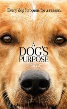 Can Dostum izle – A Dog’s Purpose izle