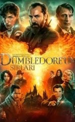 Fantastik Canavarlar Dumbledore’un Sırları izle Türkçe Dublaj